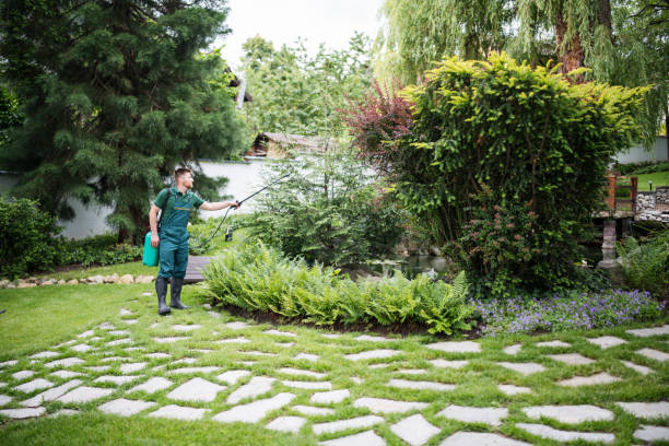 Best Pest Control Cost  in Princess Anne, MD