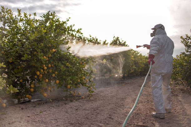 Professional Pest Control in Princess Anne, MD
